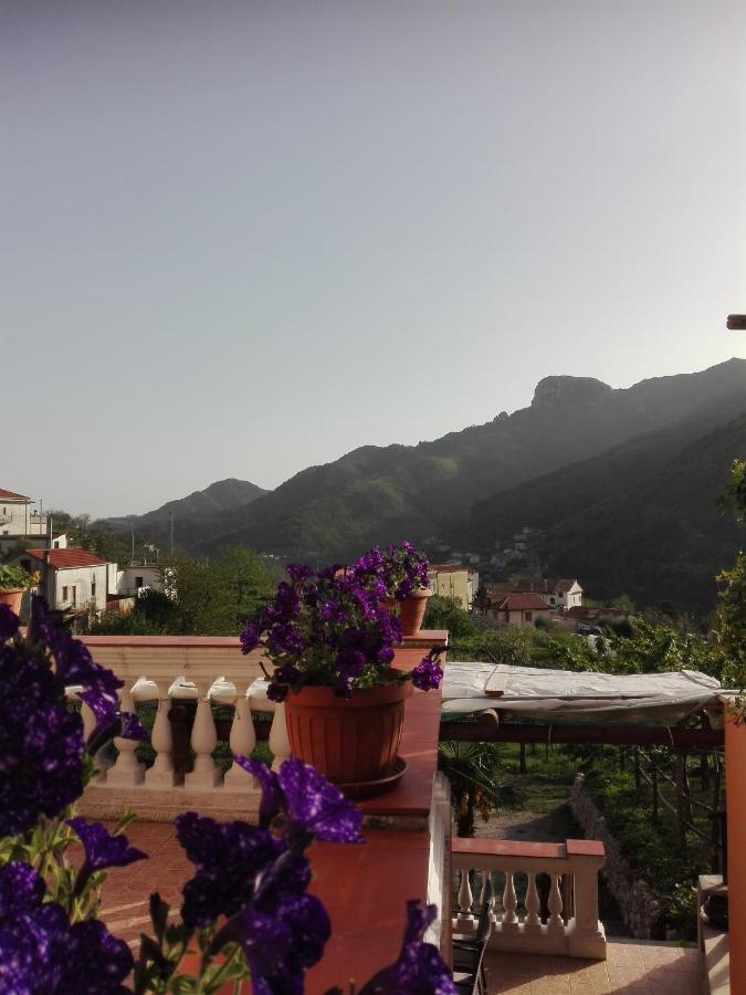 Antica Casa Cavaliere Villa Tramonti Dış mekan fotoğraf